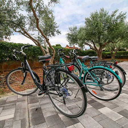 Apartament Lamanova *